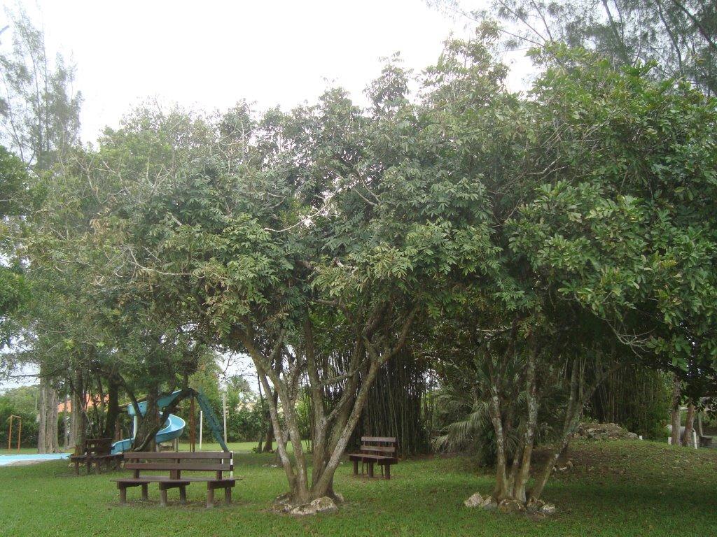 Samburá Chalés Ilha Comprida Exterior foto